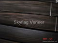 ebony veneer 1