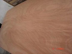 rotary cut okoume veneer