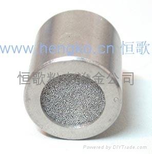 Stainless steel sensor probe filter 2