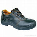 Safety Shoes 1