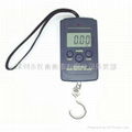 hanging  scale  fishing scale 1