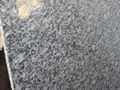 Platinum Blue Granite