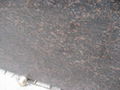 Tan Brown Granite