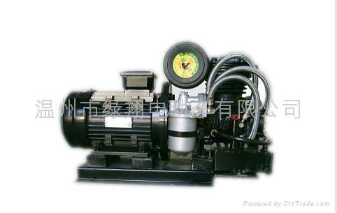 ELECTRIC AIR COMPRESSOR FOR ELECTRIC VEHICLES