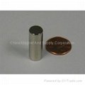 Neodymium Iron Boron NdFeb Cylinder Rare Earth Magnet 2