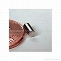 Neodymium Iron Boron NdFeb Cylinder Rare Earth Magnet 3