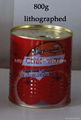 tinned tomato paste-high quality