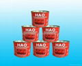 210g canned tomato paste 28/30%