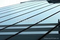 Tinted Sheet Glass 1