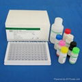 Dengue IgM Elisa Kit