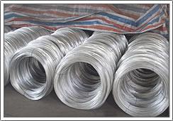 Electro Galvanized Wire 3