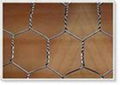 hexagonal wire mesh