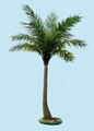 中东椰子树