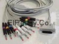 ECG 10 Leads Cables 2