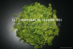 Liucheng Tiandiziran Dehydrated Vegetables Co.,Ltd