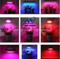 led grow light for plant growth