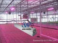 led grow light for plant growth 2