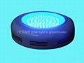 plant led grow light