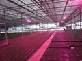 led grow lamp for plant growth