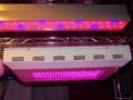 led growth panel for plant growth 1