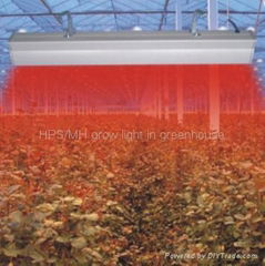 led grow light for plant growth