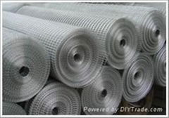 Welded Wire Mesh