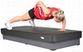 Multifunction Aerobic Whole Body Vibration Platform 2