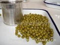 canned green peas 1