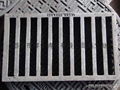 drain cover