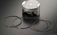 Perkins engine cylinder liner piston