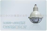 BAD58-e200，BYS系列防爆防腐全塑熒光燈（ⅡC） 2