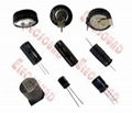 Elecsound can offer Aluminum Electrolytic Capacitor  1