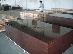 Shuttering Film Faced Plywood