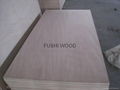 BB grade Plywood