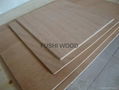 Okoume Plywood 1