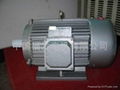 electirc motor 1