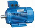 Y2 series motors