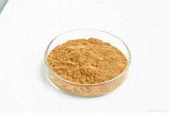 Banaba Leaf Extract