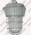 water,dust,shock and corrosion proof impendent lights 3