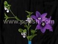 DIY Ronde Flower （Artificial Flower, crystal flower） 5