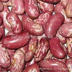 Red Speckled Kidney beans