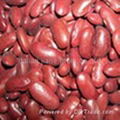 Red kidney beans 1