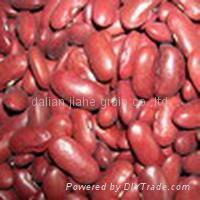 Red kidney beans