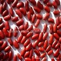 Dark Red Kidney beans 1