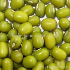 Green mung beans