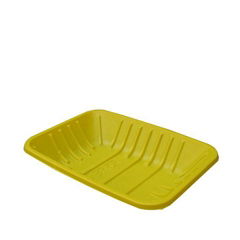 Plastic tray