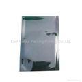 Antistatic bag