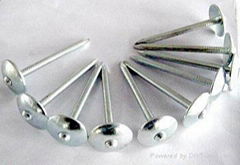 roofing nails with umbrella head