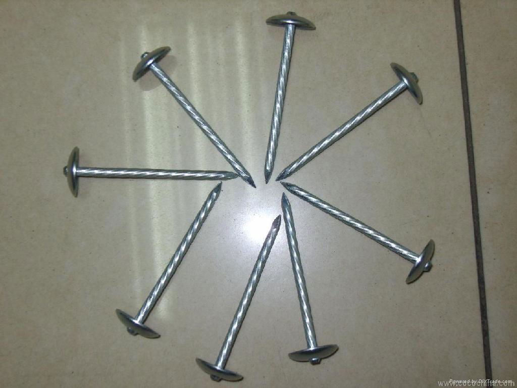 roofing nails with umbrella head 3