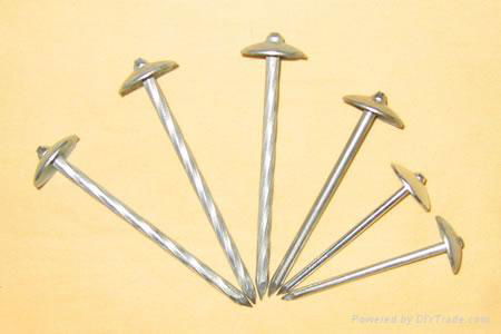 roofing nails with umbrella head 4